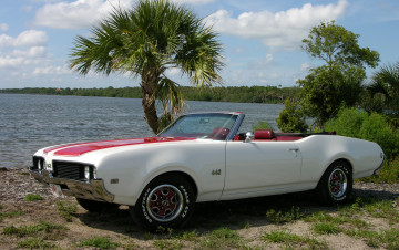 Картинка автомобили oldsmobile 442