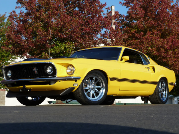 Обои картинки фото 1969 mach 1, автомобили, mustang