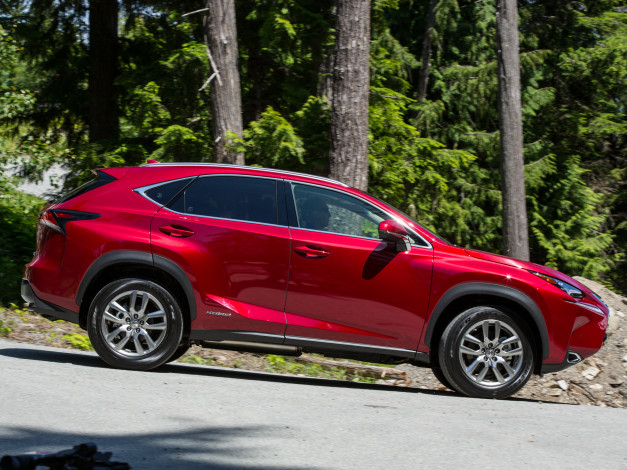 Обои картинки фото автомобили, lexus, seat, красный, 2014г, 5f, st, 4drive, leоn