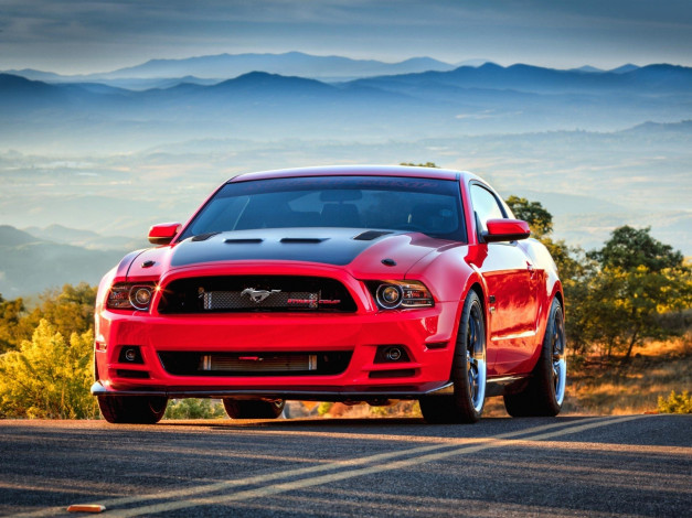 Обои картинки фото автомобили, mustang