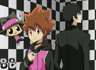 Картинка аниме katekyo+hitman+reborn vongola mafia reborn juudaime sawada tsunayoshi tsuna hitman