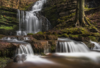 Картинка природа водопады водопад река лес