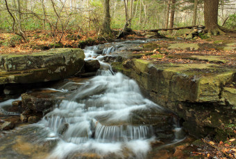 Картинка природа реки озера лес река