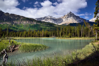 Картинка природа реки озера горы лес река