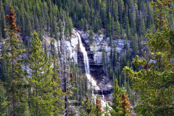 Картинка природа водопады река водопад лес