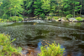 Картинка природа реки озера река лес