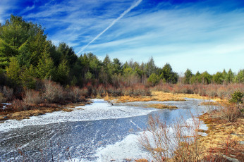 Картинка природа реки озера река лес