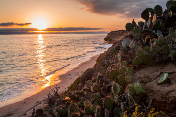 Картинка природа восходы закаты рассвет