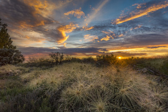 Картинка природа восходы закаты рассвет