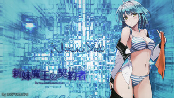 Картинка аниме shinmai+maou+no+testament shinmai maou no testament девушка фон ookuma nekosuke nonaka yuki