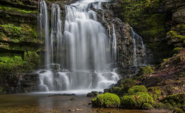 Картинка природа водопады река водопад лес