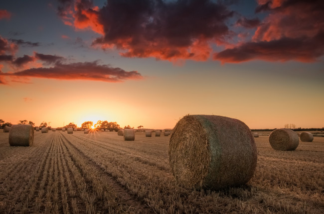 Обои картинки фото природа, восходы, закаты, рассвет