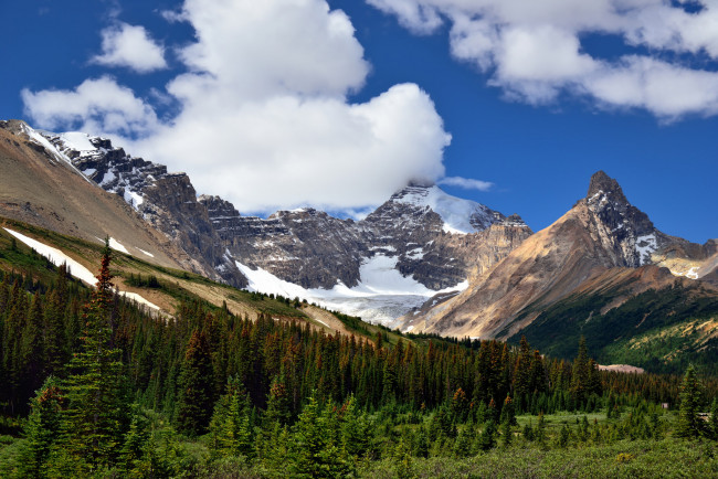 Обои картинки фото природа, горы, лес