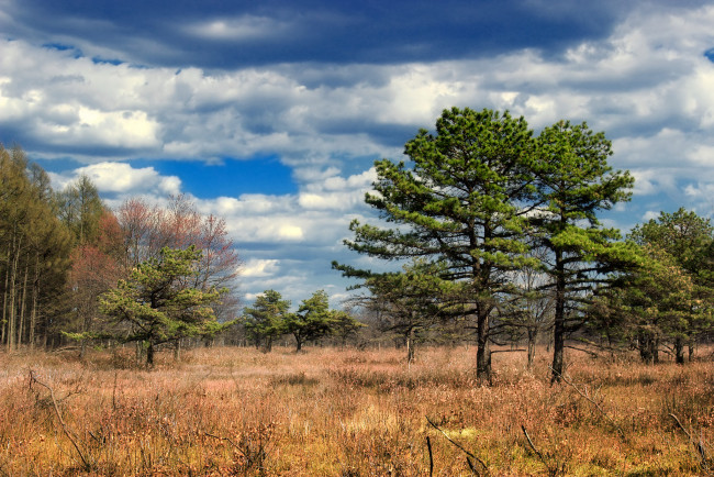 Обои картинки фото природа, пейзажи, осень
