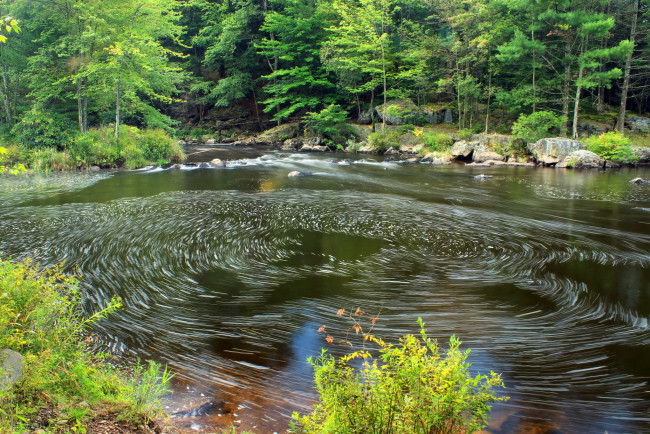 Обои картинки фото природа, реки, озера, река, лес