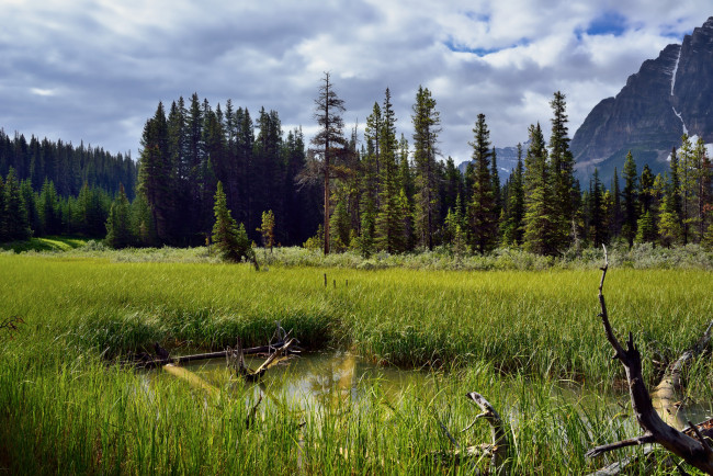 Обои картинки фото природа, реки, озера, река, лес, горы