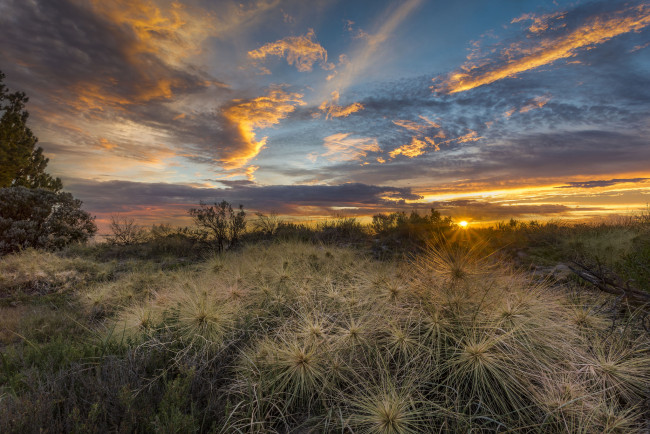 Обои картинки фото природа, восходы, закаты, рассвет