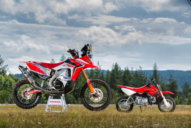 Обои картинки фото мотоциклы, honda