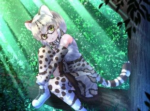 Картинка аниме kemono+friends kemono friends