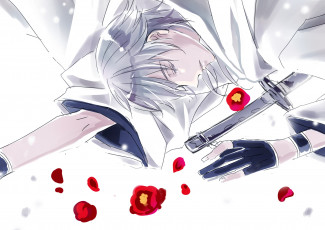 Картинка аниме touken+ranbu парень