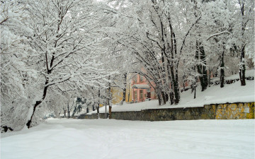 Картинка природа зима деревья снег