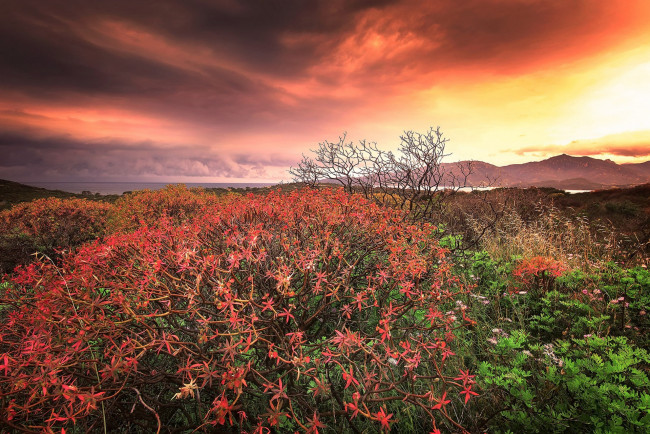 Обои картинки фото природа, восходы, закаты, простор