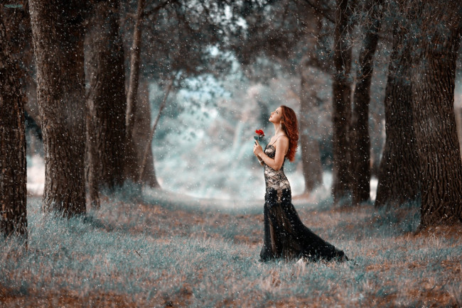 Обои картинки фото девушки, - рыжеволосые и разноцветные, снег, девушка, роза