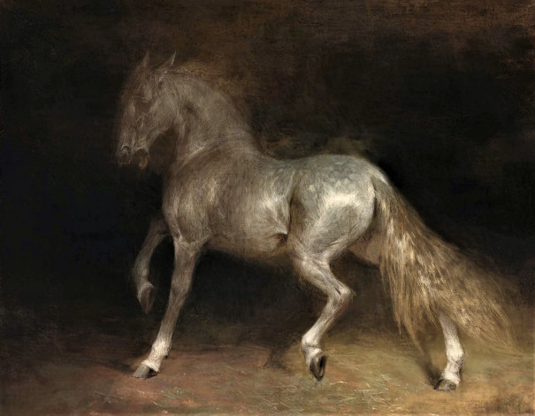 Обои картинки фото рисованное, животные,  лошади, лошадь