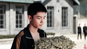 Картинка кино+фильмы ace+troops гу ие букет ромашки