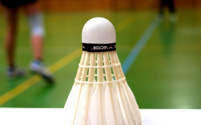 Обои картинки фото спорт, - другое, волан, зал