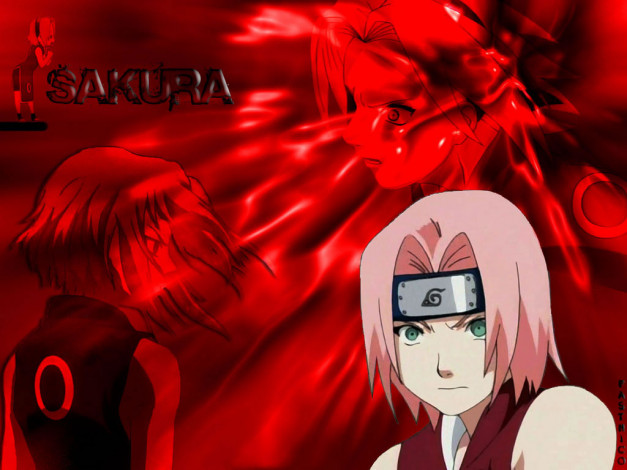 Обои картинки фото sakura, аниме, naruto