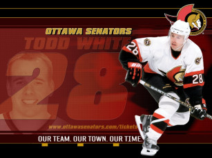 Картинка shinoda спорт nhl