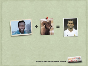 Картинка юмор приколы