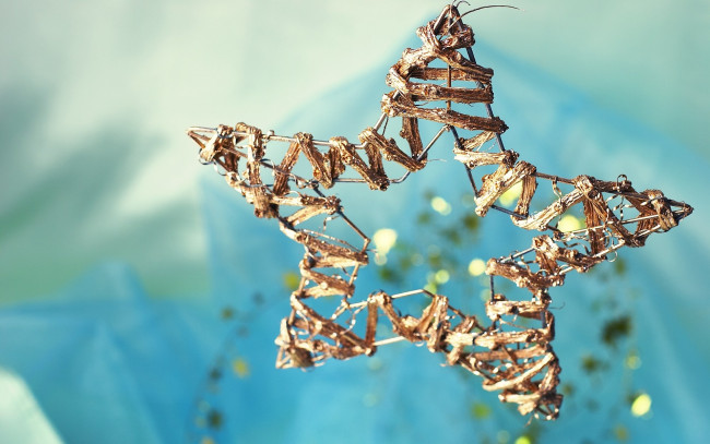 Обои картинки фото праздничные, снежинки, звёздочки