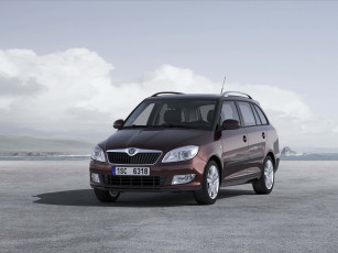 Картинка автомобили skoda fabia combi