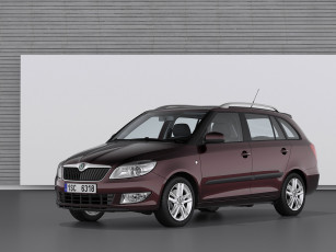 Картинка автомобили skoda fabia combi