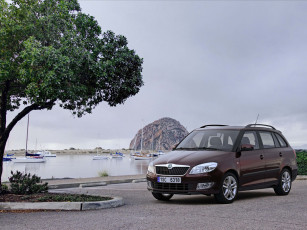 обоя автомобили, skoda, fabia, combi