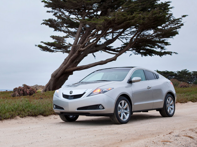 Обои картинки фото автомобили, acura, zdx