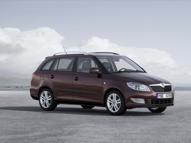 Обои картинки фото автомобили, skoda, fabia, combi