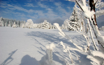 Картинка природа зима снег