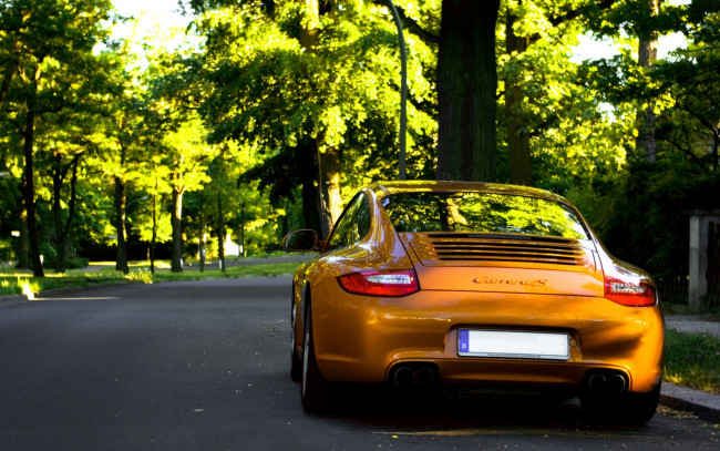 Обои картинки фото автомобили, porsche, порше