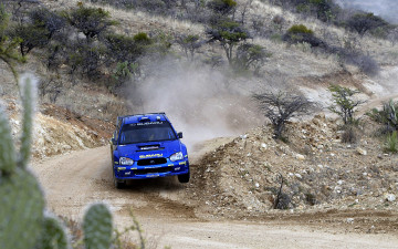 Картинка subaru спорт авторалли ралли скорость пыль грунтовка