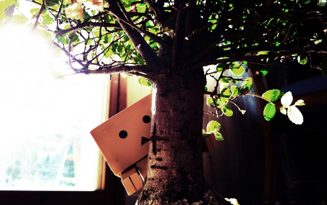 Обои картинки фото разное, данбо, danboard