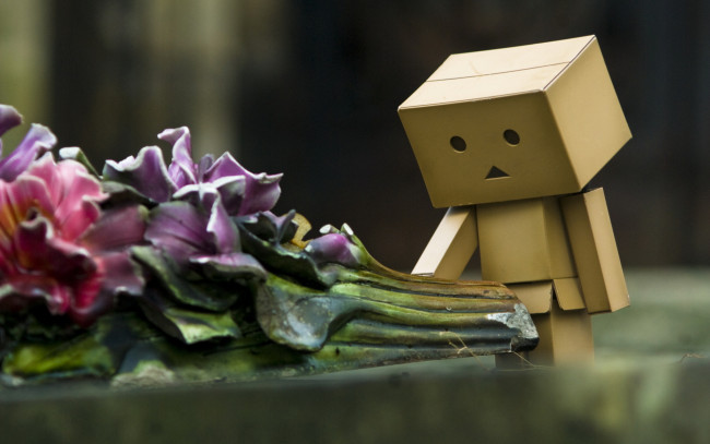 Обои картинки фото разное, данбо, danboard