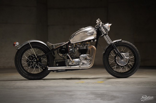 Обои картинки фото мотоциклы, triumph