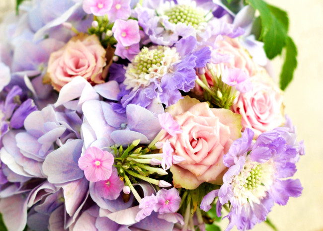 Обои картинки фото цветы, букеты, композиции, розы, флоксы, гортензия, скабиоза
