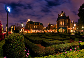 Картинка города диснейленд кусты клумбы ночь огни парк