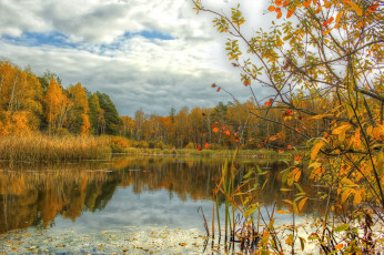 Картинка природа реки озера осень
