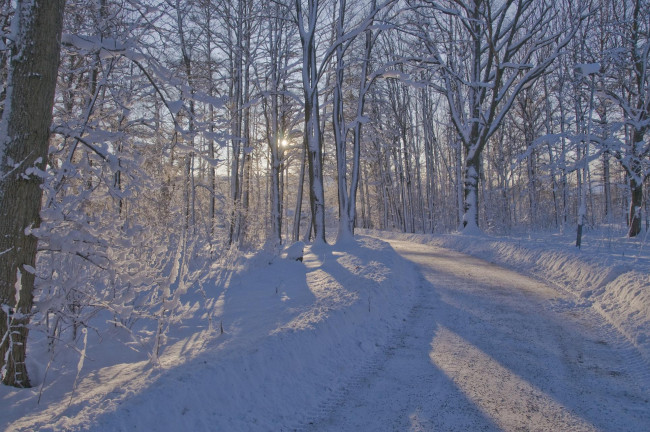 Обои картинки фото природа, дороги, лес, деревья, зима