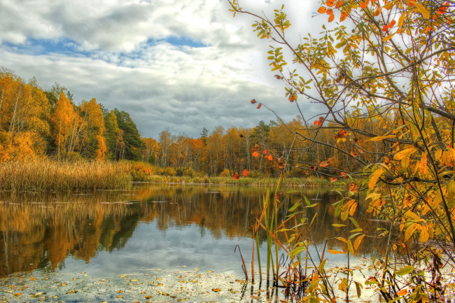 Обои картинки фото природа, реки, озера, осень
